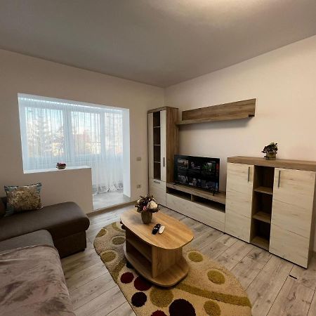 Cozy Urban Accommodation In Beautiful Suceava Dış mekan fotoğraf