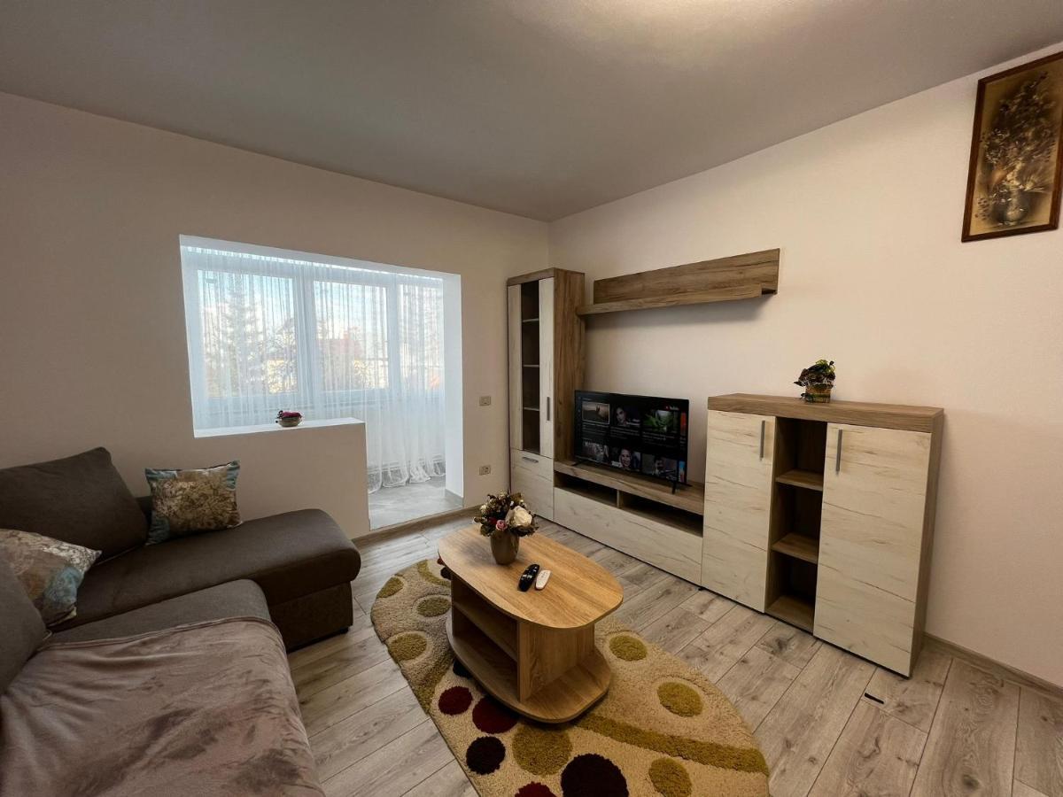 Cozy Urban Accommodation In Beautiful Suceava Dış mekan fotoğraf