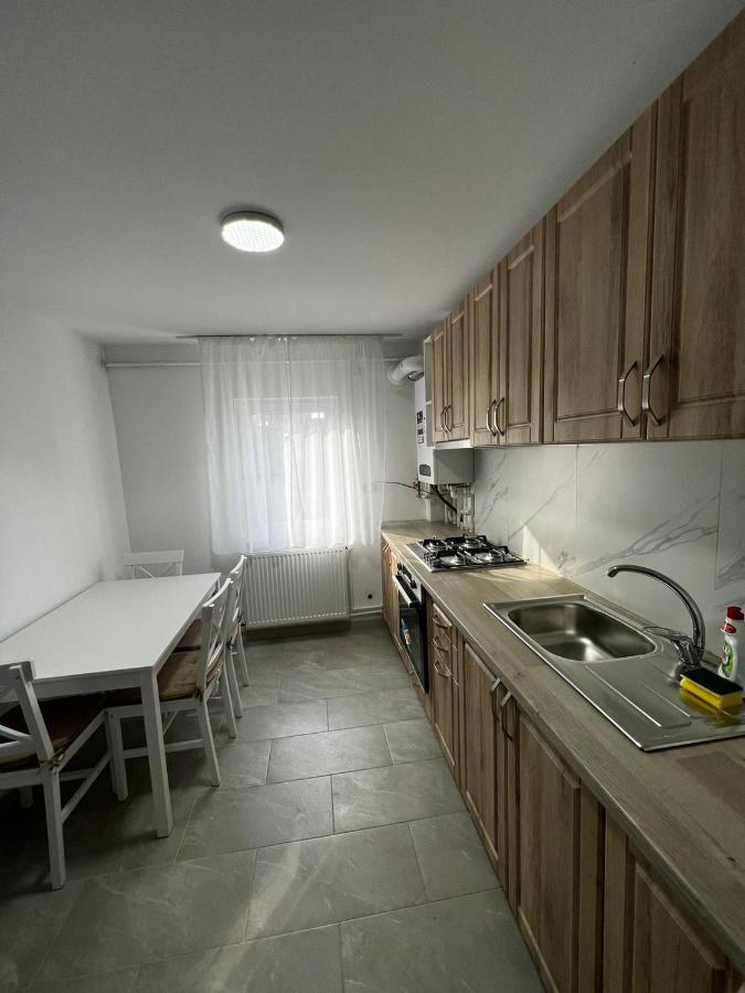 Cozy Urban Accommodation In Beautiful Suceava Dış mekan fotoğraf